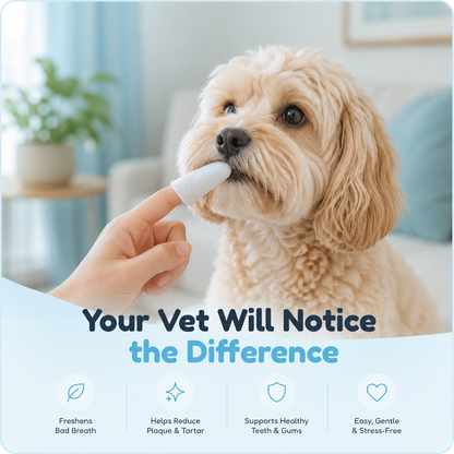 FreshPaw Dental Wipes